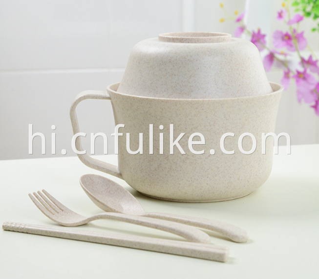 5 Pcs Dinnerware Set